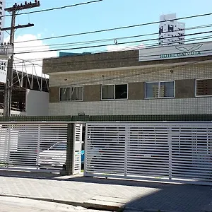 Gaivota Recife